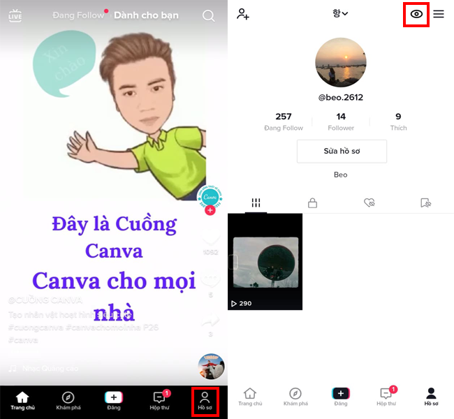 xem ai vào hồ sơ TikTok của mình